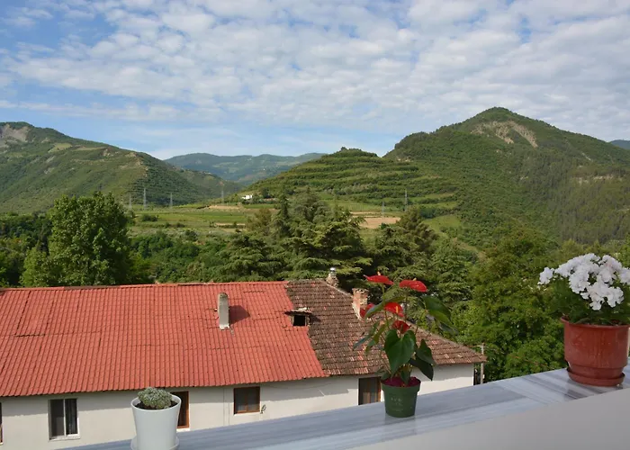 Apartament Cela * Zhaban